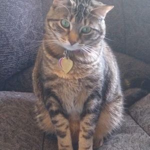 Meet your Posher, Greta